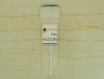 辣根过氧化物酶标记山羊抗大鼠IgG(H+L)